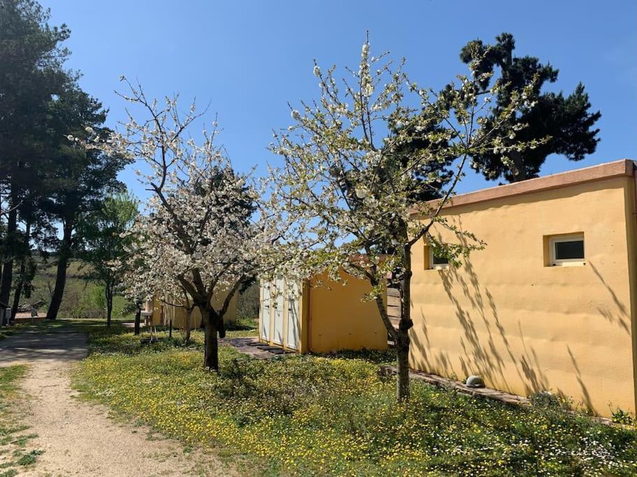 B&B Helga'S Agricampeggio Seulo Exterior photo